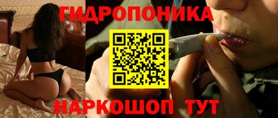 стаф Бузулук