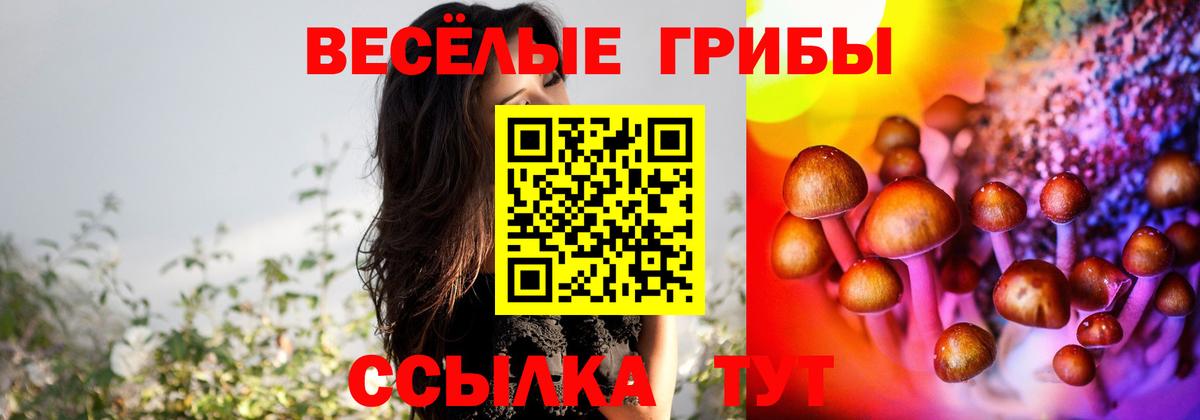 Псилоцибиновые грибы Psilocybine cubensis  Вход с VPN  наркотики  Коммунар 